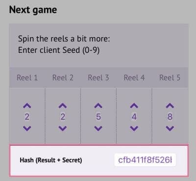 slots fingerprint